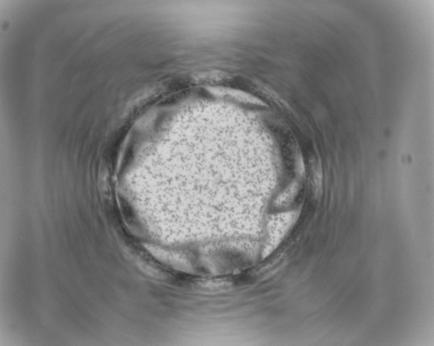 X0000075360619200609291502