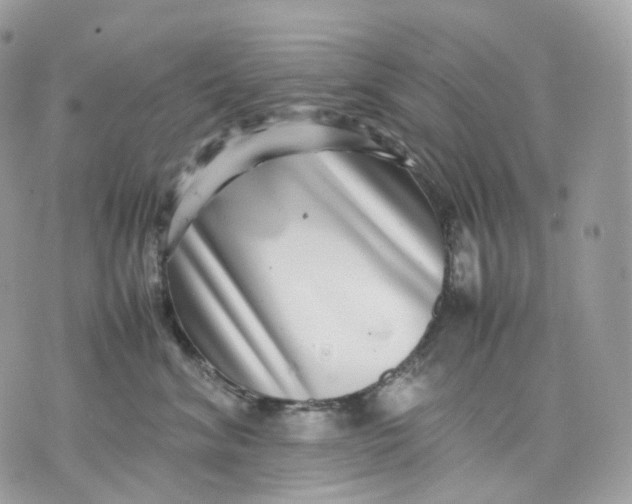 X0000075360620200609291502