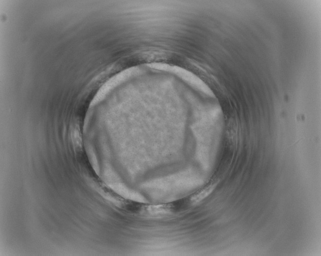 X0000075360622200609291502