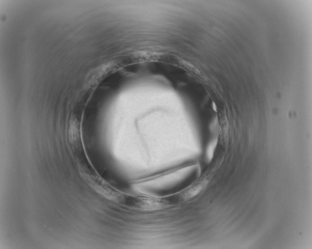 X0000075360623200609291502