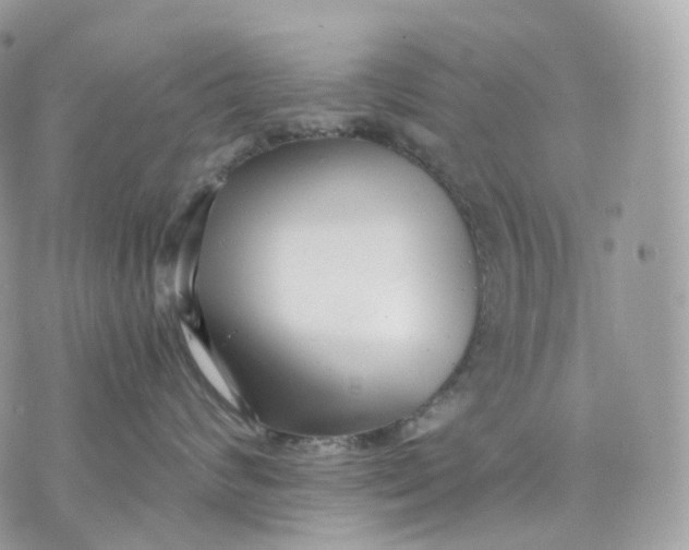 X0000075360624200609291502