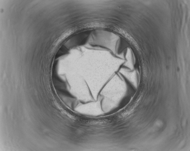 X0000075360625200609291501