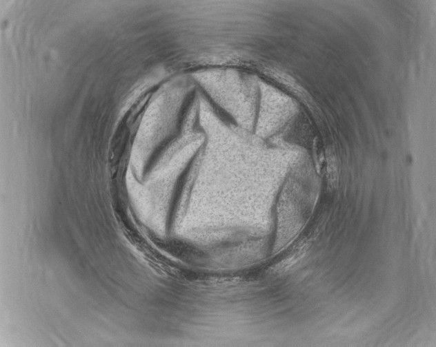 X0000075360626200609291502