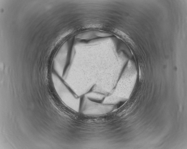 X0000075360627200609291502