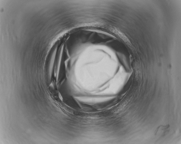 X0000075360628200609291502