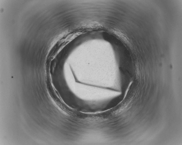 X0000075360630200609291502