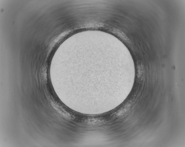 X0000075360632200609291502