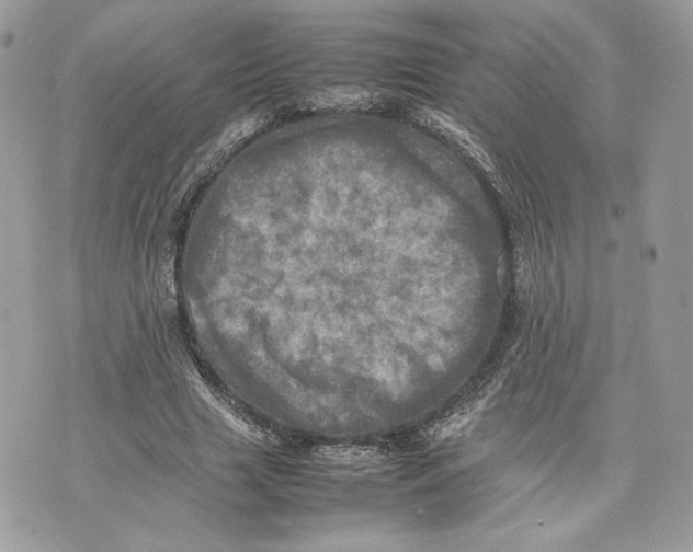 X0000075360633200609291502