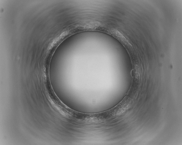 X0000075360634200609291502