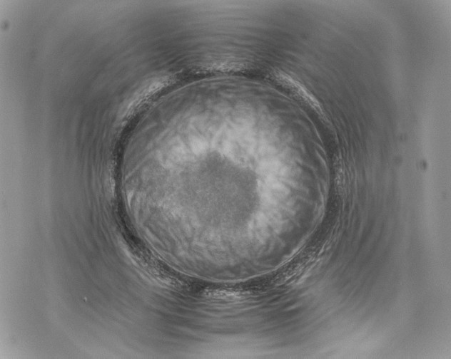 X0000075360635200609291502