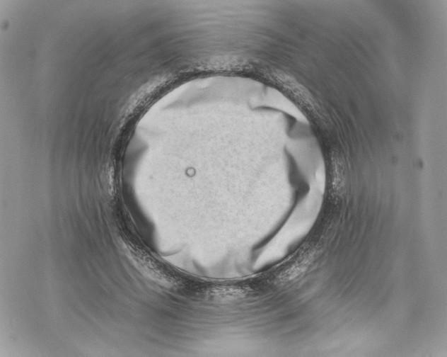 X0000075360636200609291502