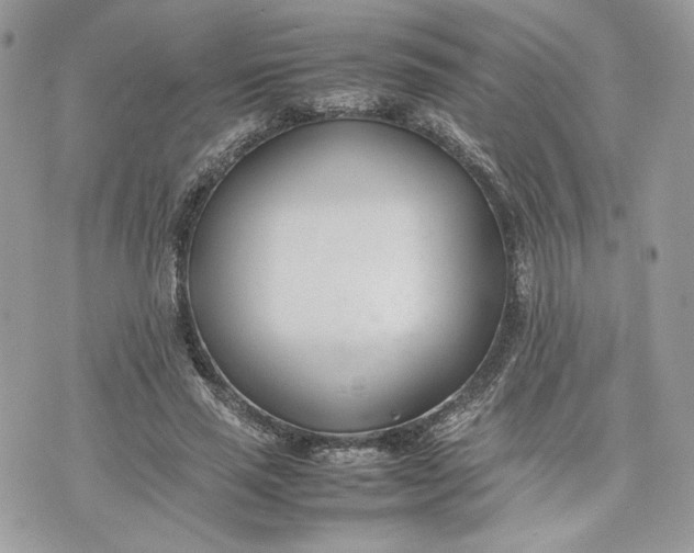 X0000075360637200609291502