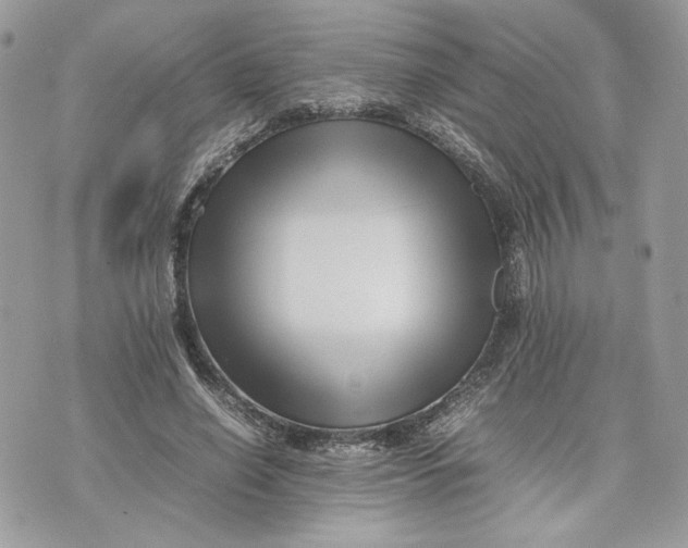 X0000075360638200609291502