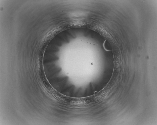 X0000075360639200609291502