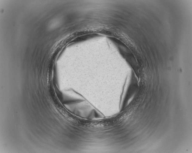 X0000075360640200609291502