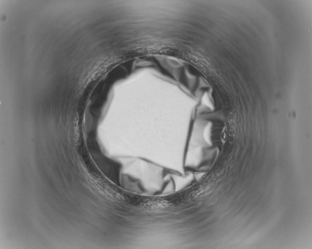 X0000075360642200609291502