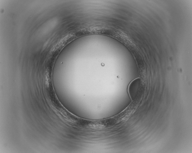 X0000075360644200609291502