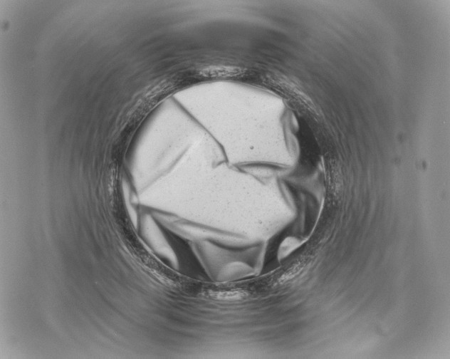 X0000075360645200609291502