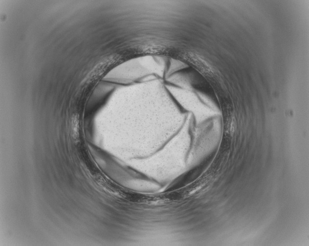 X0000075360646200609291502