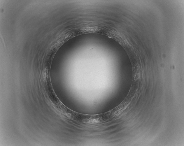 X0000075360647200609291502