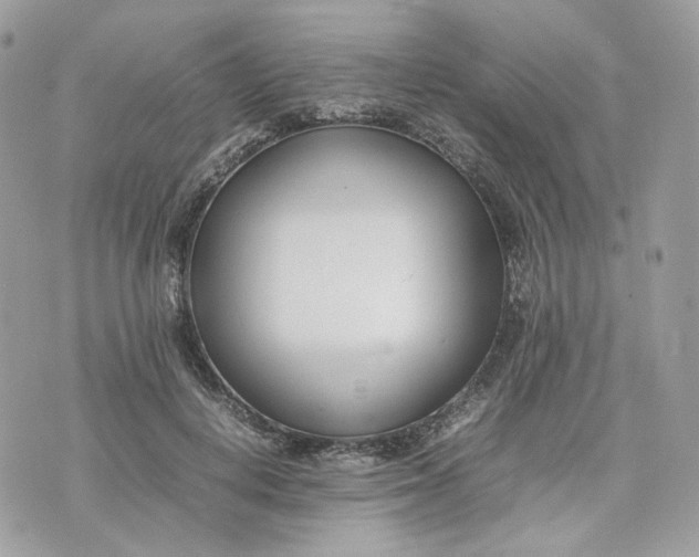 X0000075360648200609291502