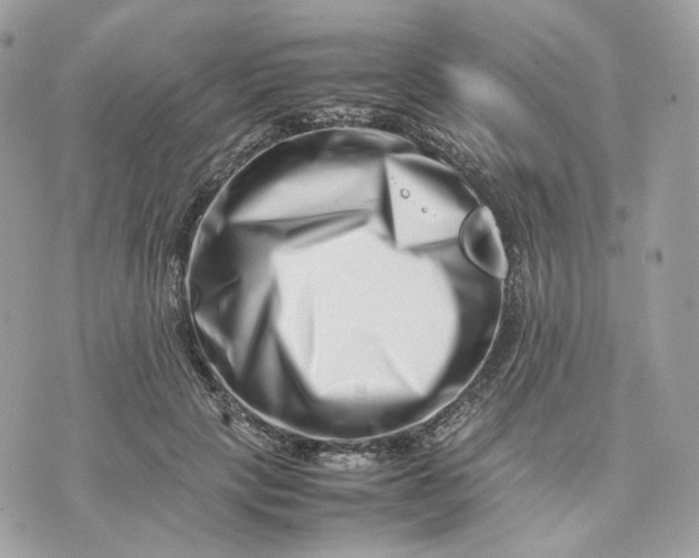 X0000075360649200609291502