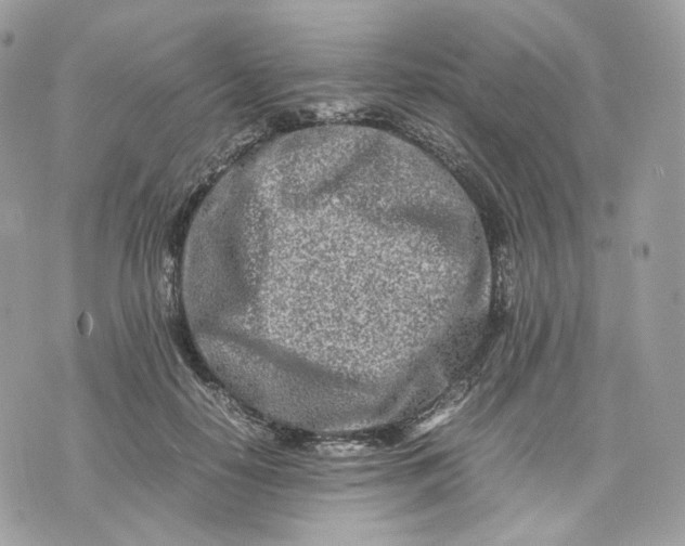 X0000075360650200609291502