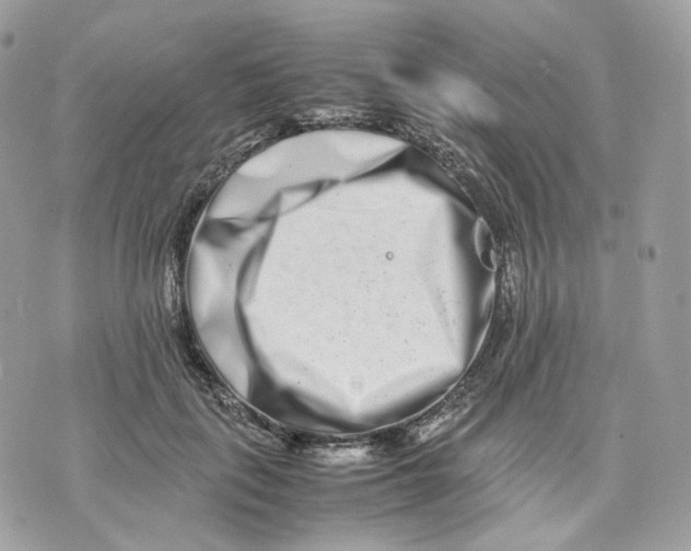 X0000075360651200609291502