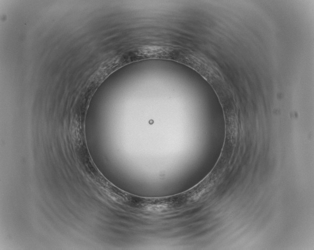 X0000075360653200609291502