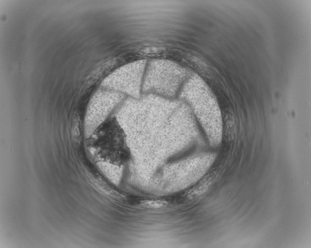 X0000075360654200609291502