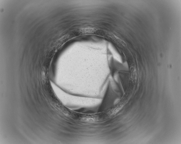 X0000075360655200609291502