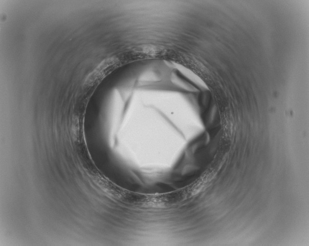 X0000075360656200609291502