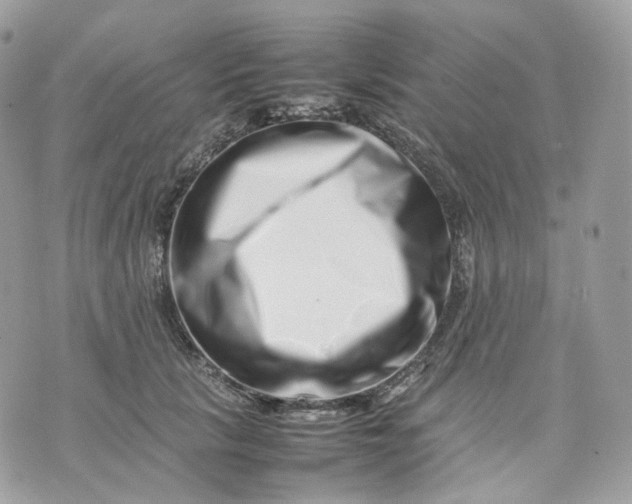 X0000075360657200609291502