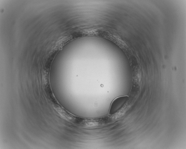 X0000075360658200609291502