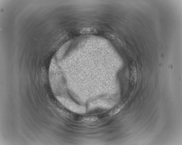 X0000075360659200609291502