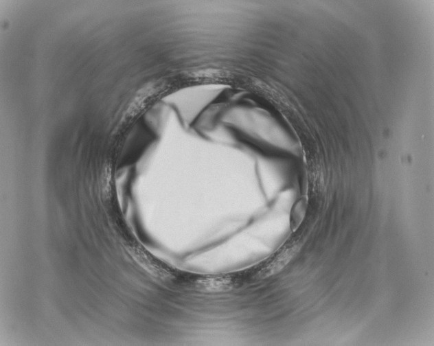 X0000075360660200609291502