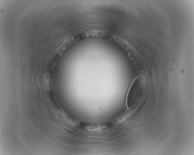 X0000075360661200609291502