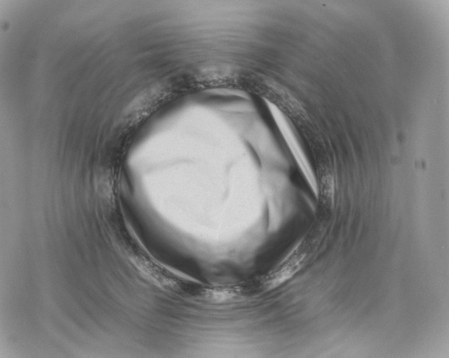 X0000075360662200609291502