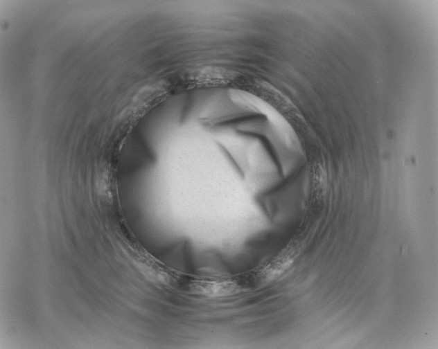 X0000075360663200609291502