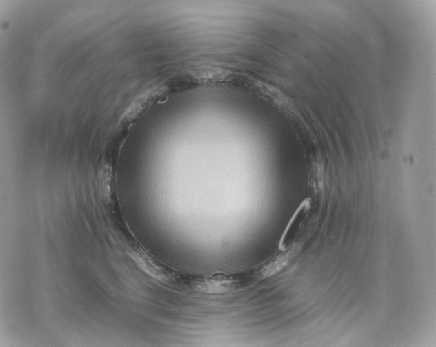 X0000075360664200609291502