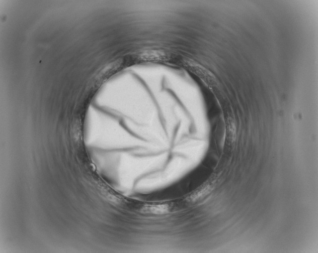 X0000075360665200609291502