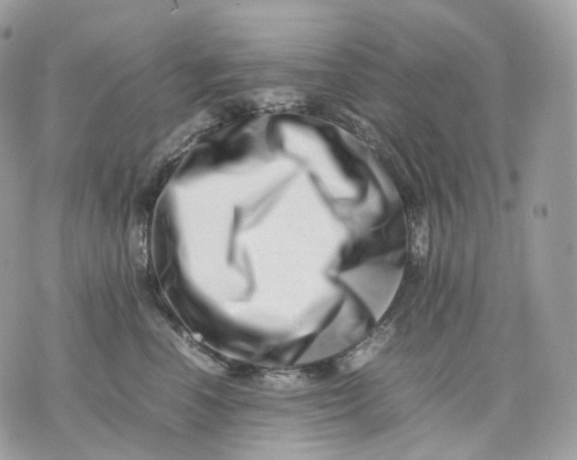 X0000075360666200609291502