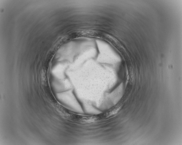 X0000075360667200609291502