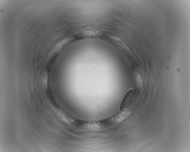 X0000075360668200609291502