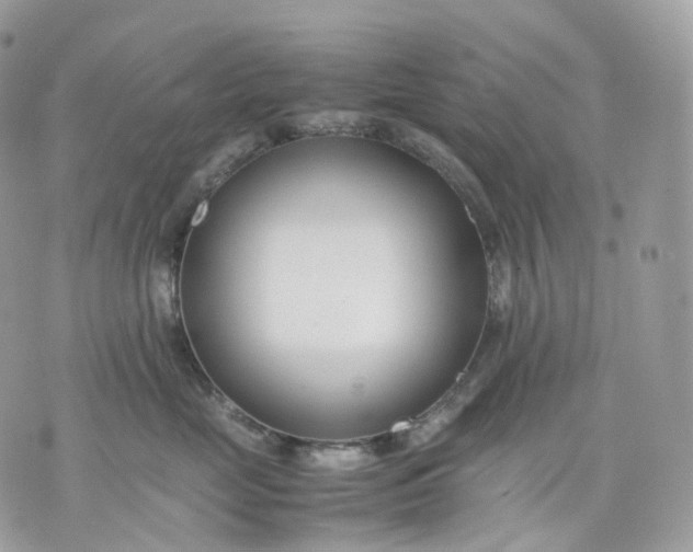 X0000075360669200609291502