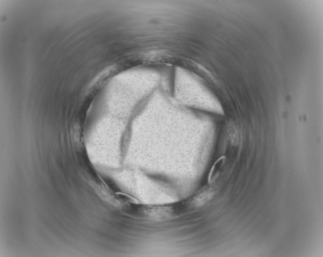 X0000075360670200609291502