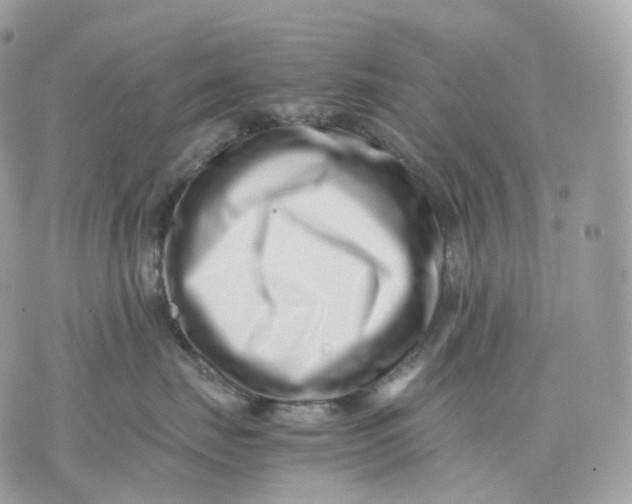 X0000075360671200609291502