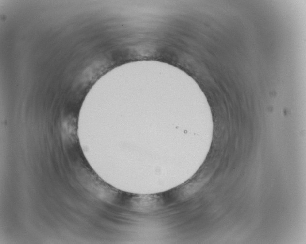 X0000075360672200609291502