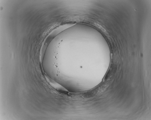 X0000075360673200609291501