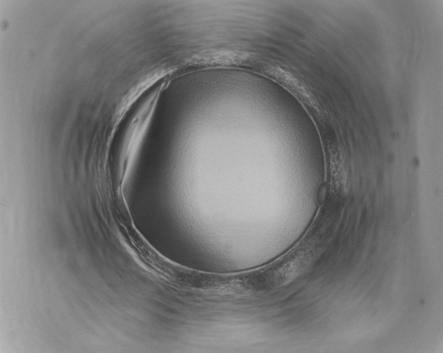 X0000075360674200609291501